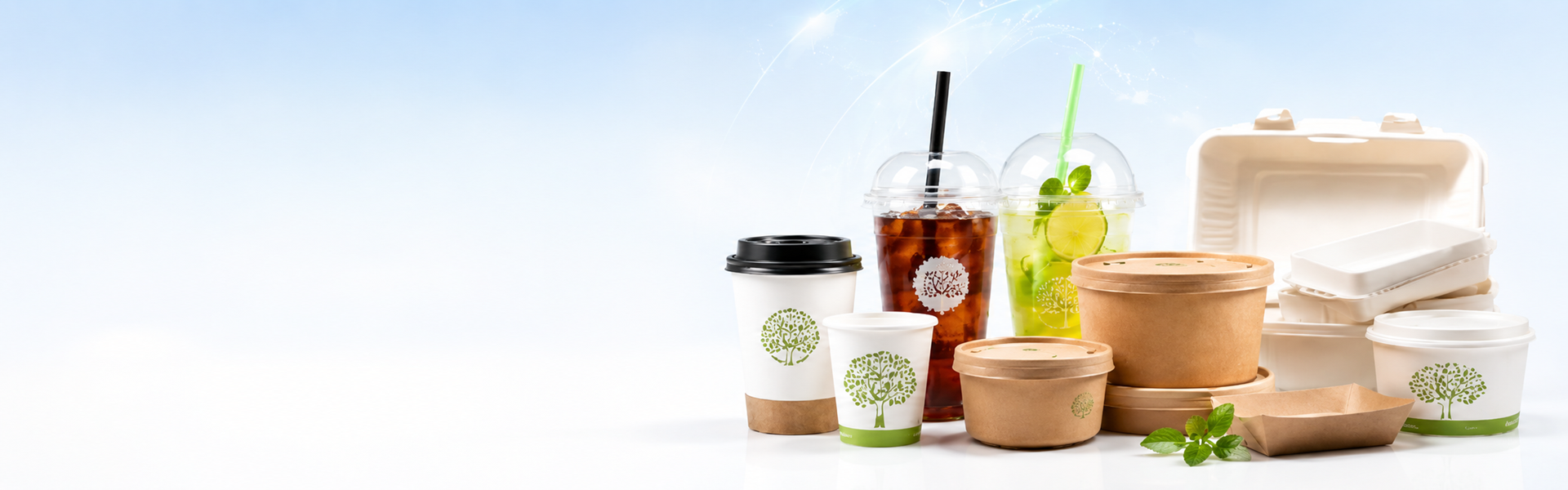 Disposable food packaging products - 产品轮播2
